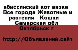 абиссинский кот вязка - Все города Животные и растения » Кошки   . Самарская обл.,Октябрьск г.